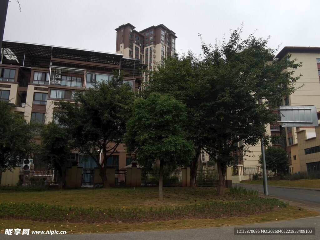 住宅区绿树环绕的建筑