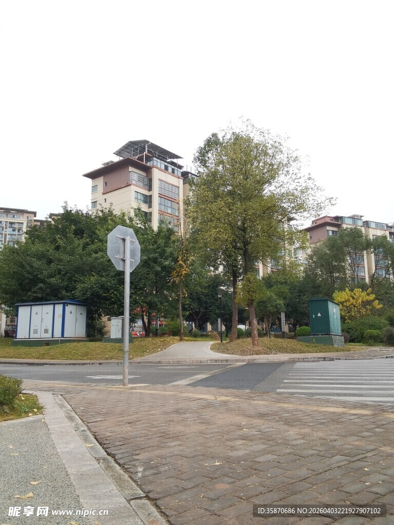 城市街角的宁静景致
