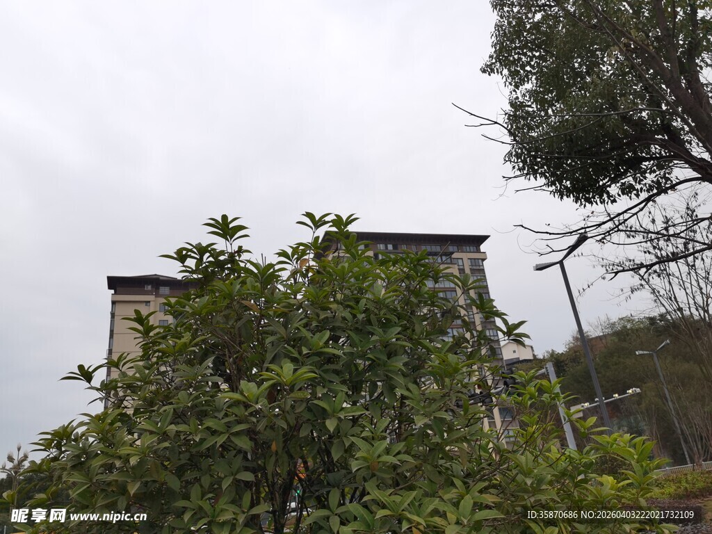 被绿植环绕的建筑物