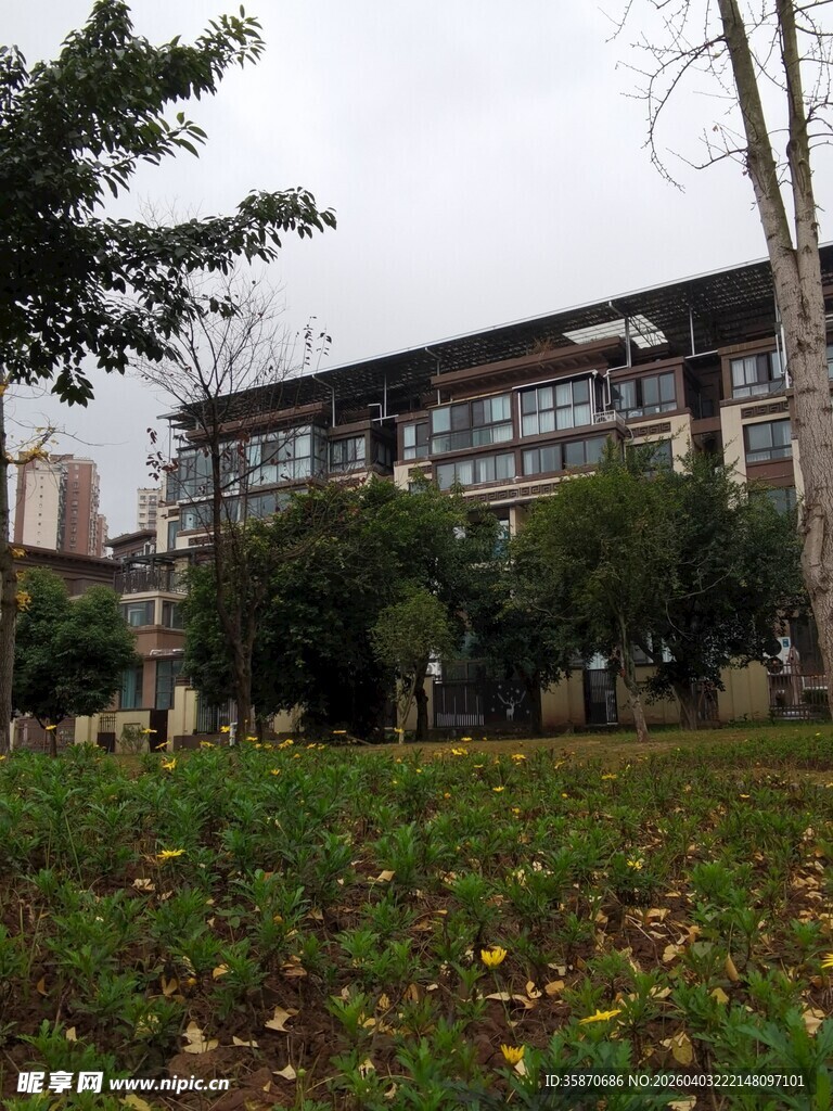 校园建筑旁的绿植景观