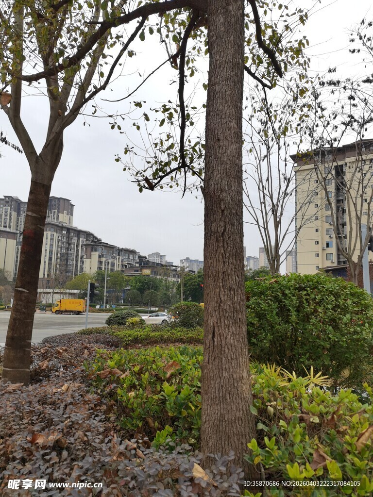 城市公园绿意景观