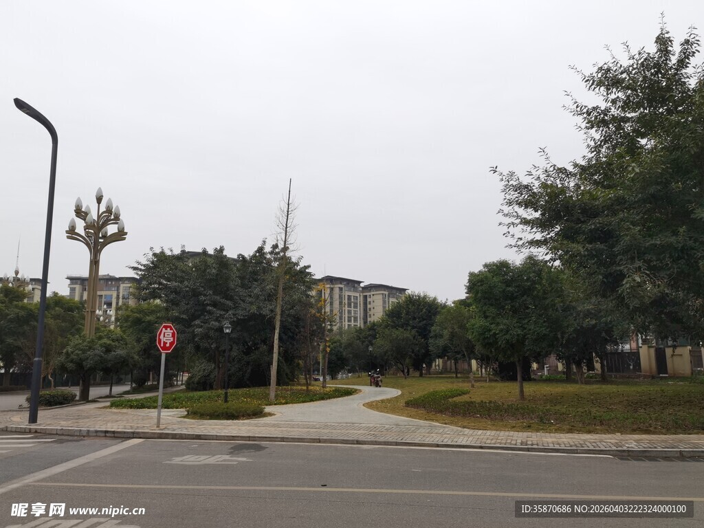 城市街道旁的绿树与建筑