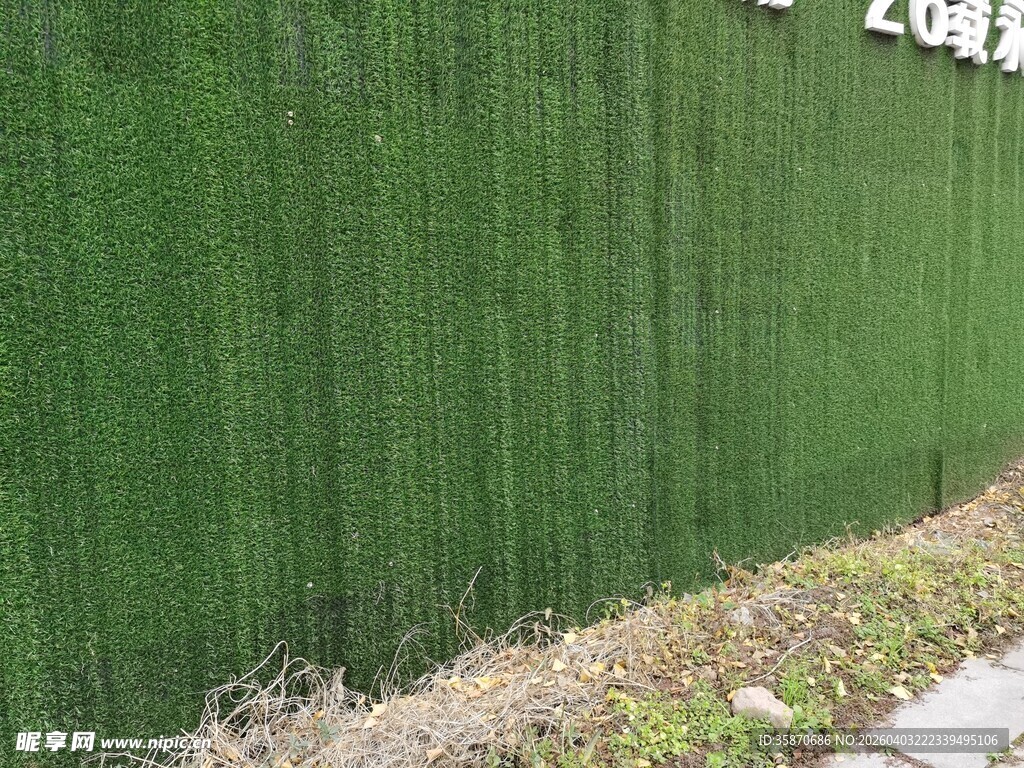 绿色植物墙景观