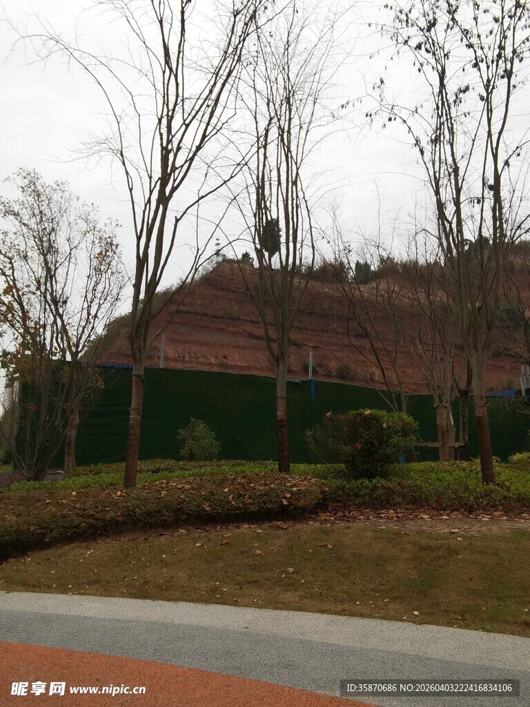 郊外红土坡与树木景观