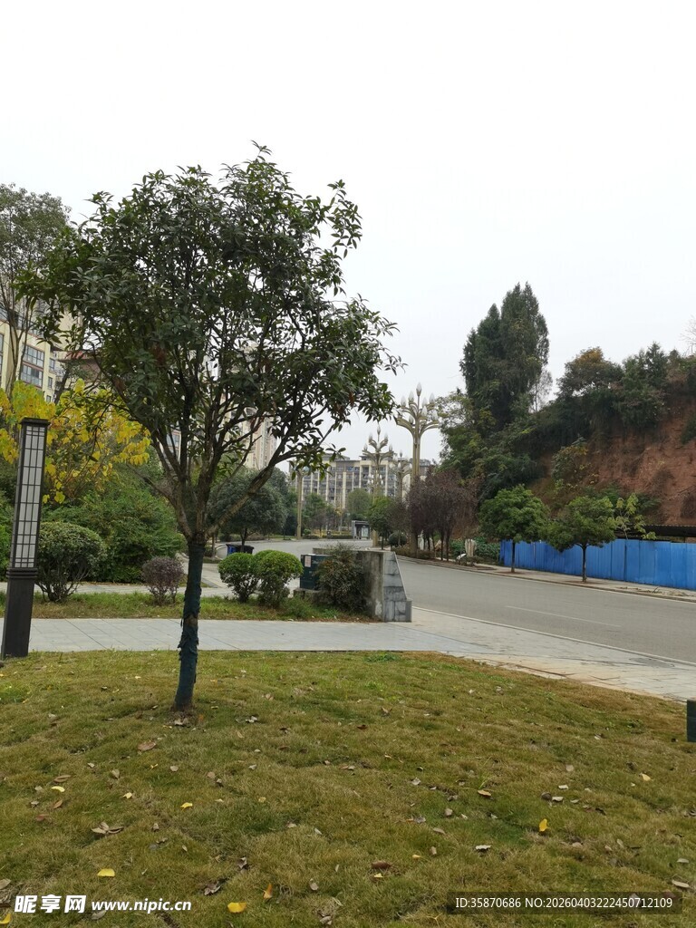 户外绿化景观场景