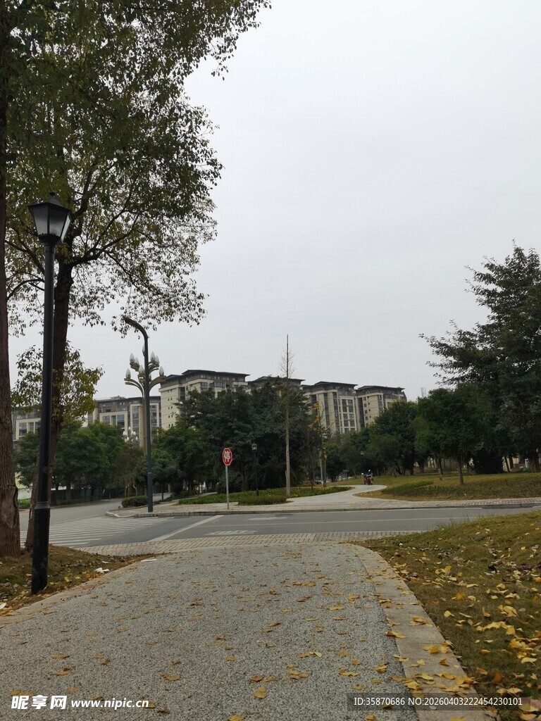 秋日街边静谧小路景象