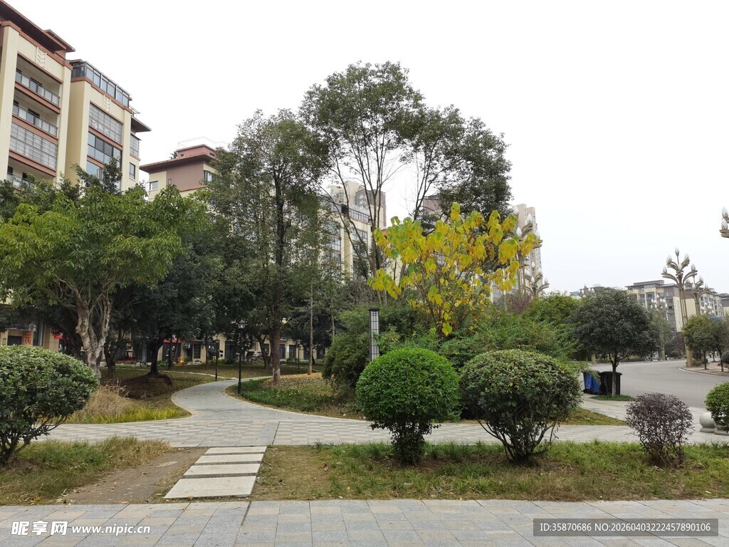 小区内的静谧绿化景观