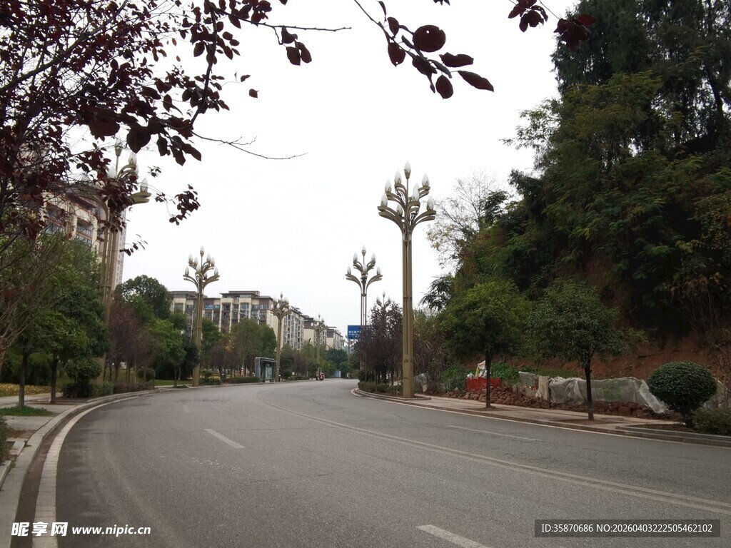 城市中安静的弯曲道路