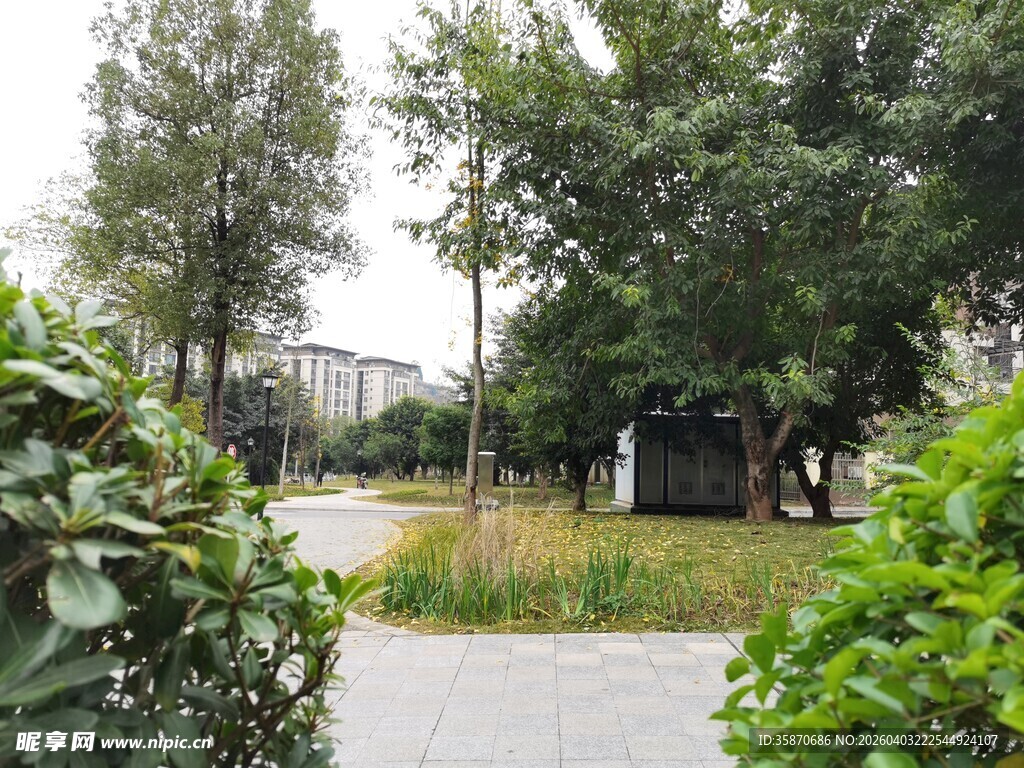 小区内的绿植与休闲区域