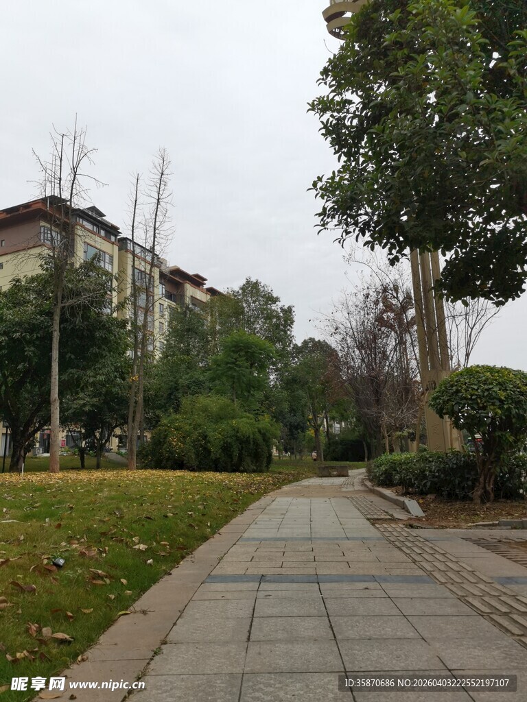 小区内的幽静步道景观