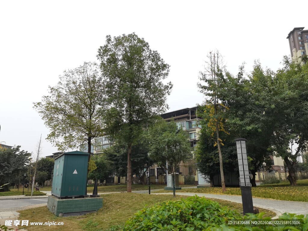 校园建筑周边景致