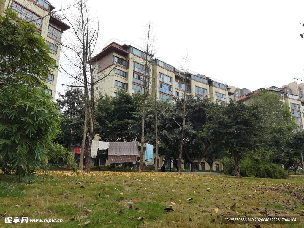 小区绿化景观