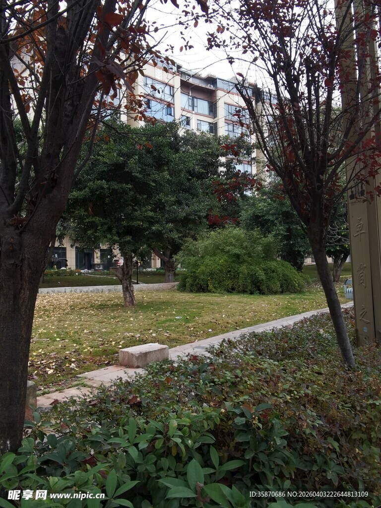 小区内的绿化景观