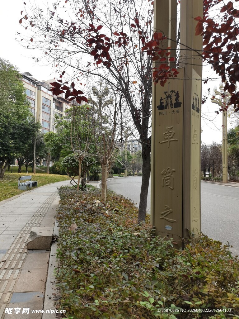 城市路边的树木与绿植景观