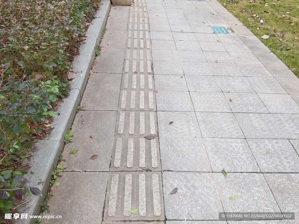 户外水泥步道及周边景观