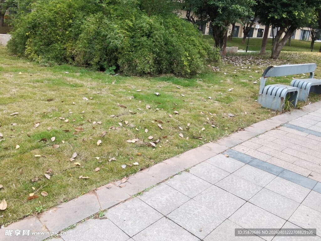 户外草地旁的砖石步道