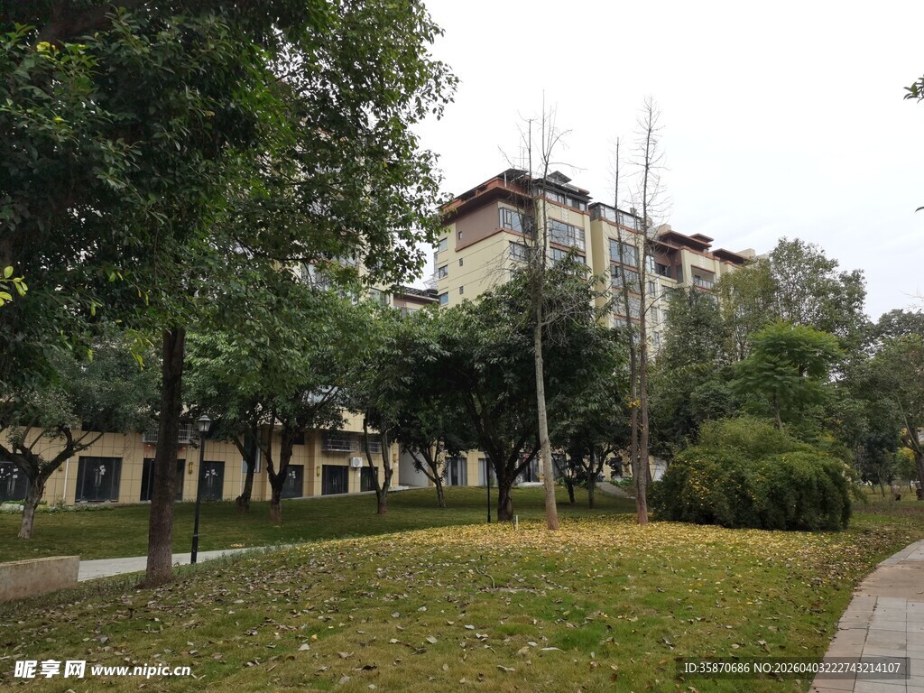 城市中静谧的公园景致