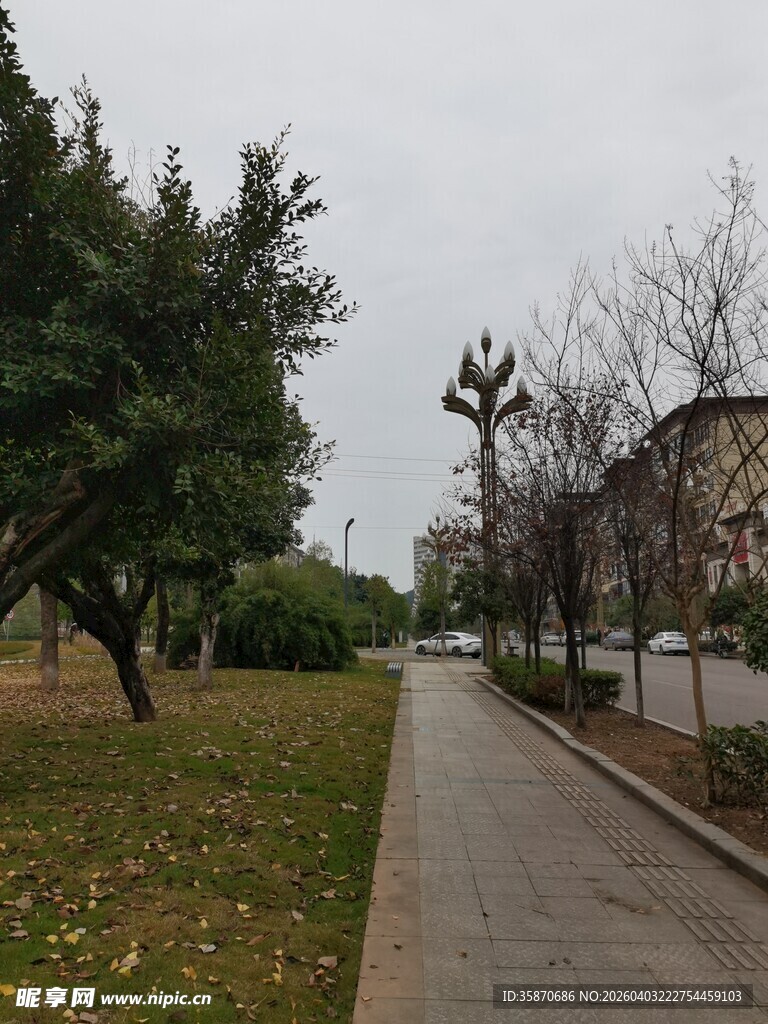 秋日林荫小路景色