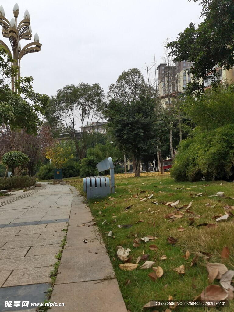 公园小径旁的绿植景观