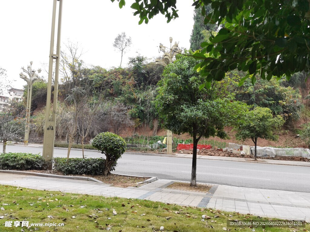 城市街边绿化景观一角