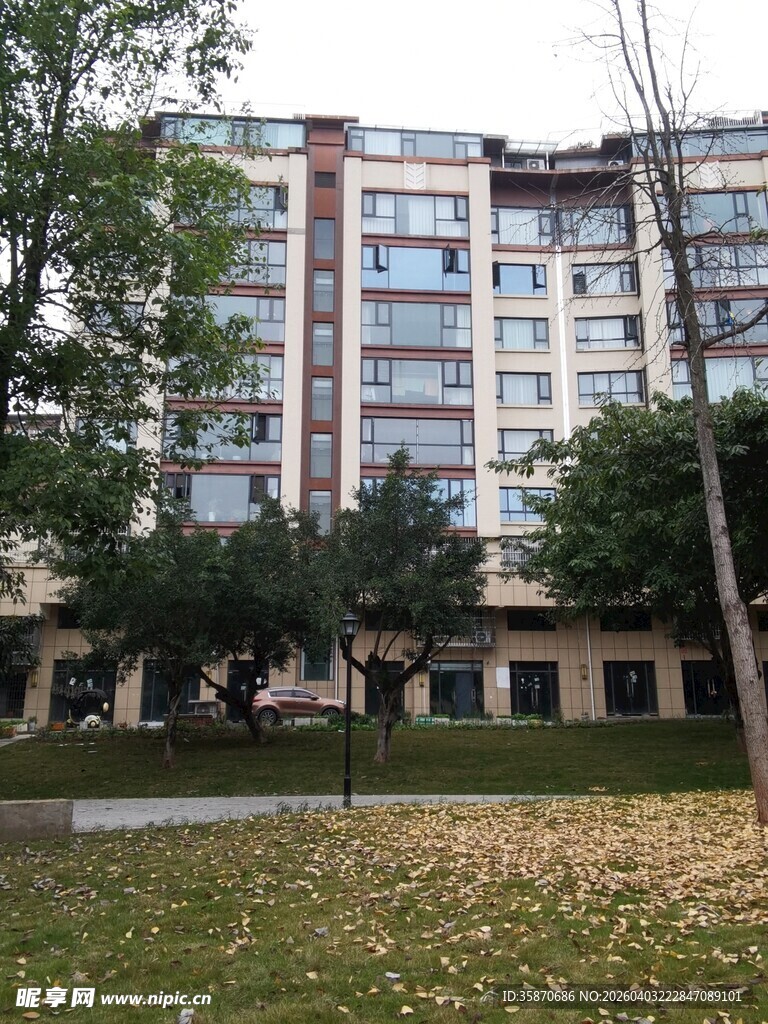 秋日小区旁的高层住宅楼