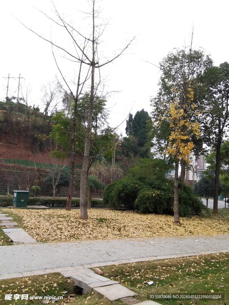 秋日公园静谧小道风景