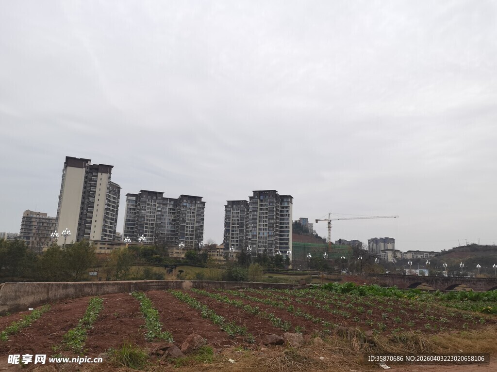 城市旁的农田景观