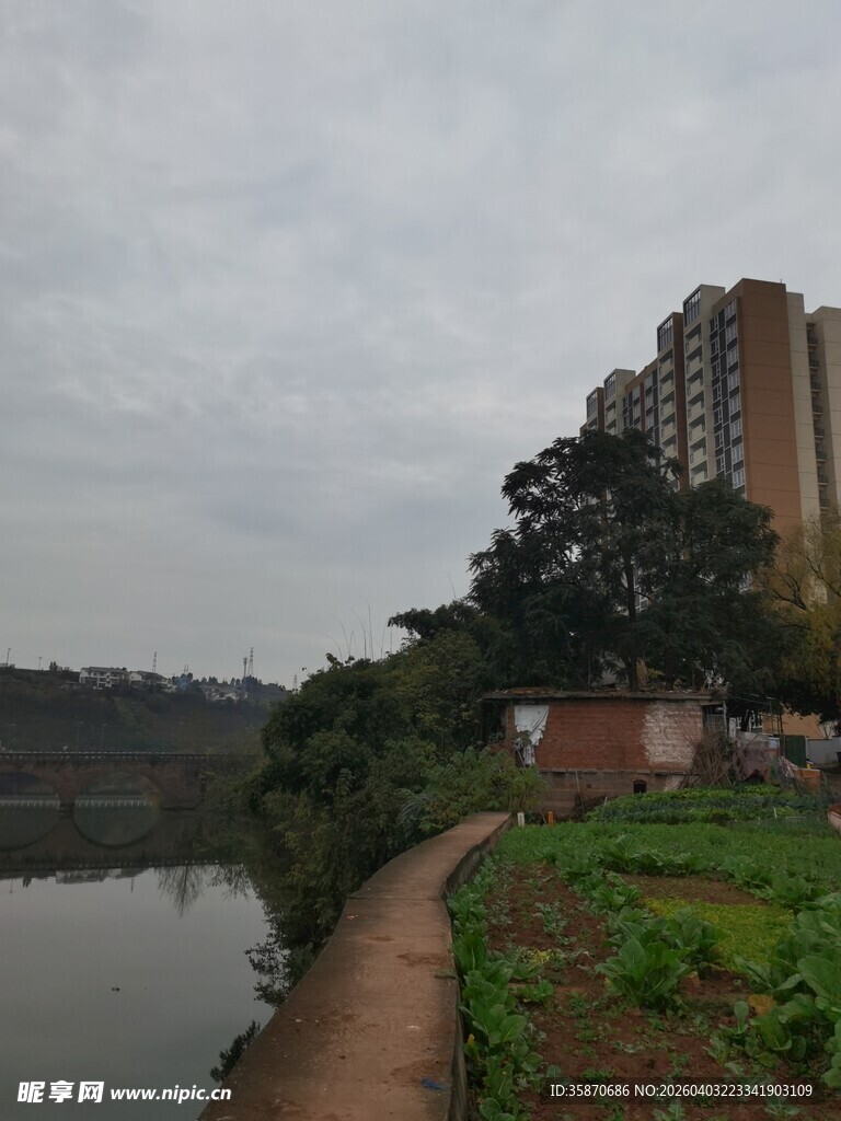 河边小径旁的城市建筑景观