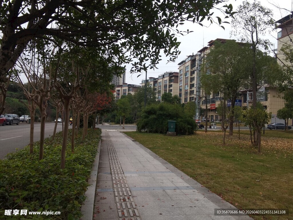 小区内幽静的林荫步道