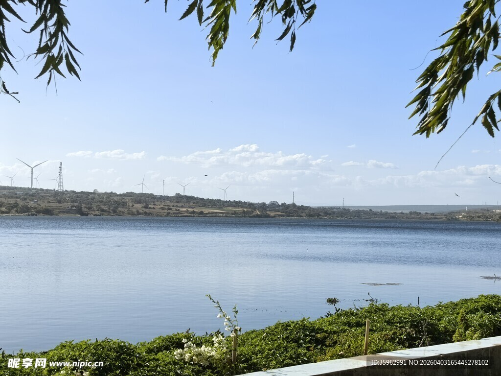 湖畔风光 绿意盎然的景致