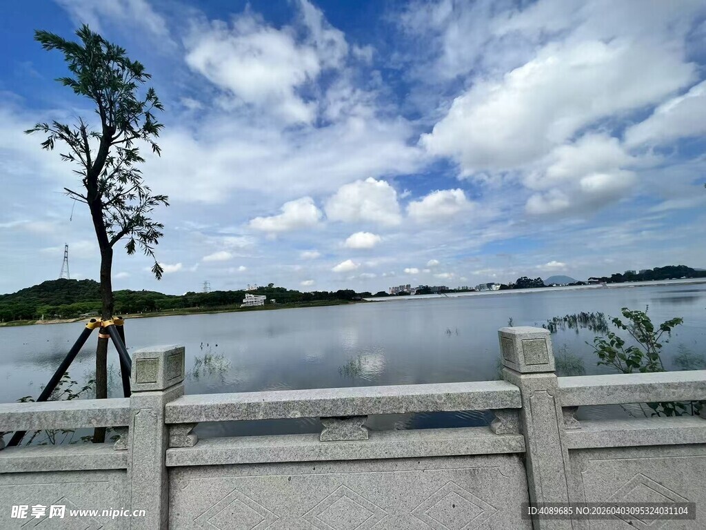 湖畔孤树与蓝天白云美景