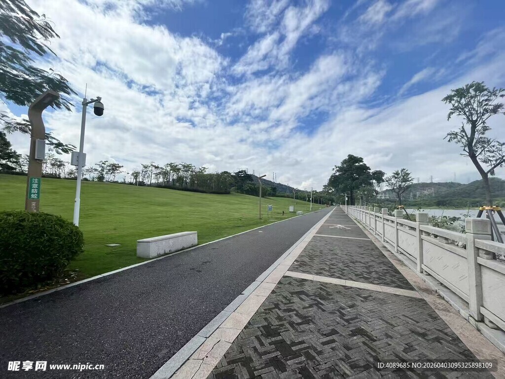 湖畔林荫道 清新自然景致