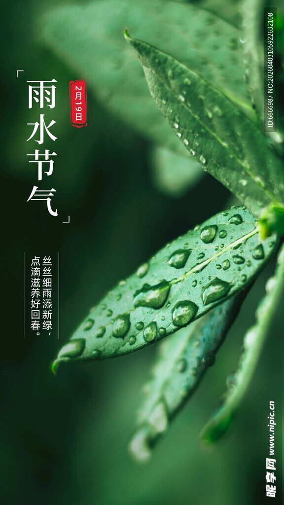 雨水