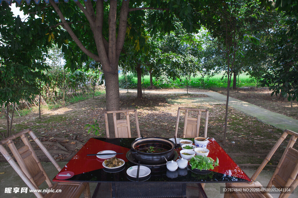 户外树下的雅致火锅美食场景
