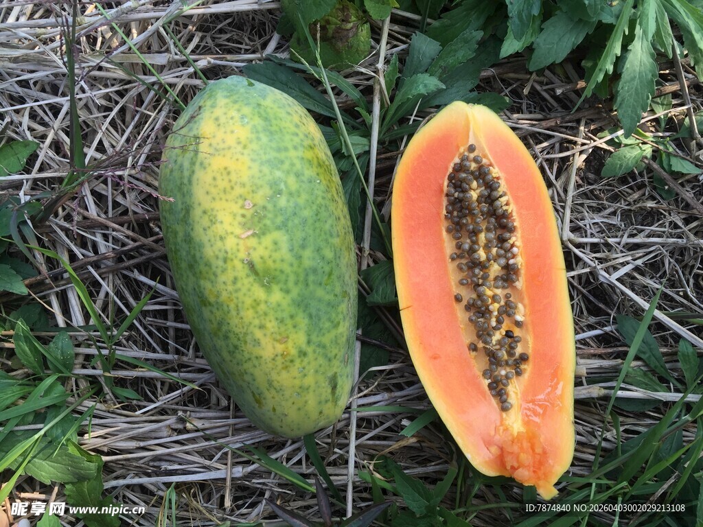 新鲜切开的木瓜置于草地
