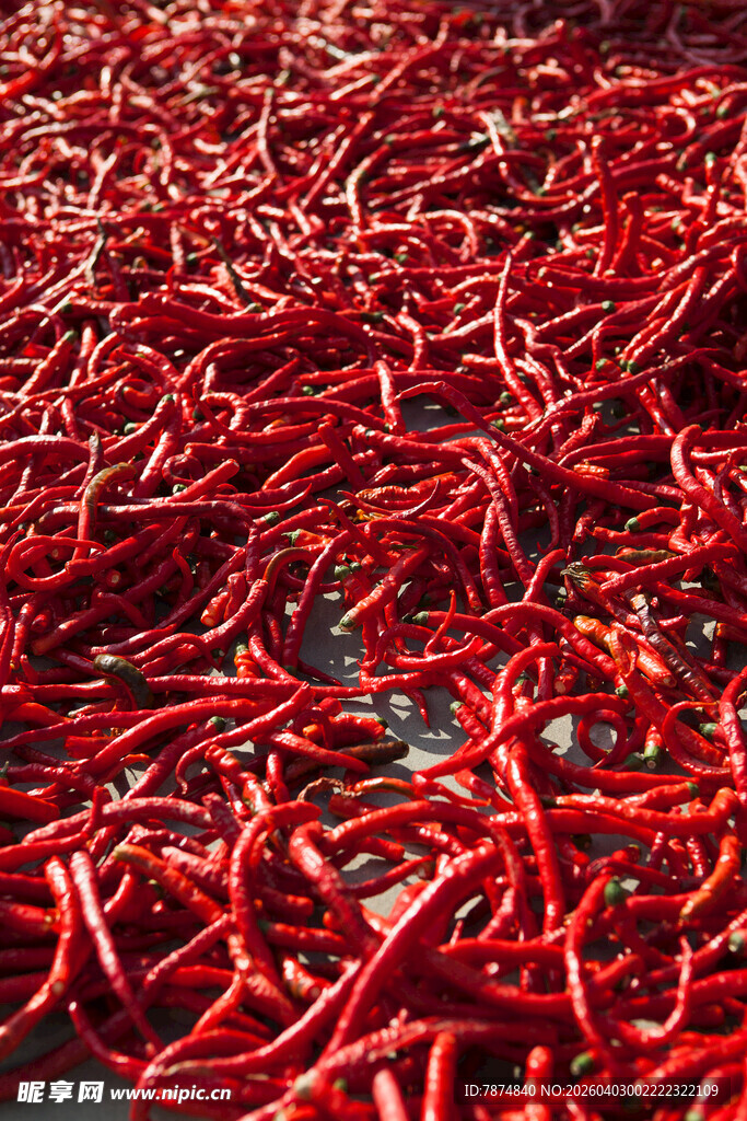 红辣椒铺满地面