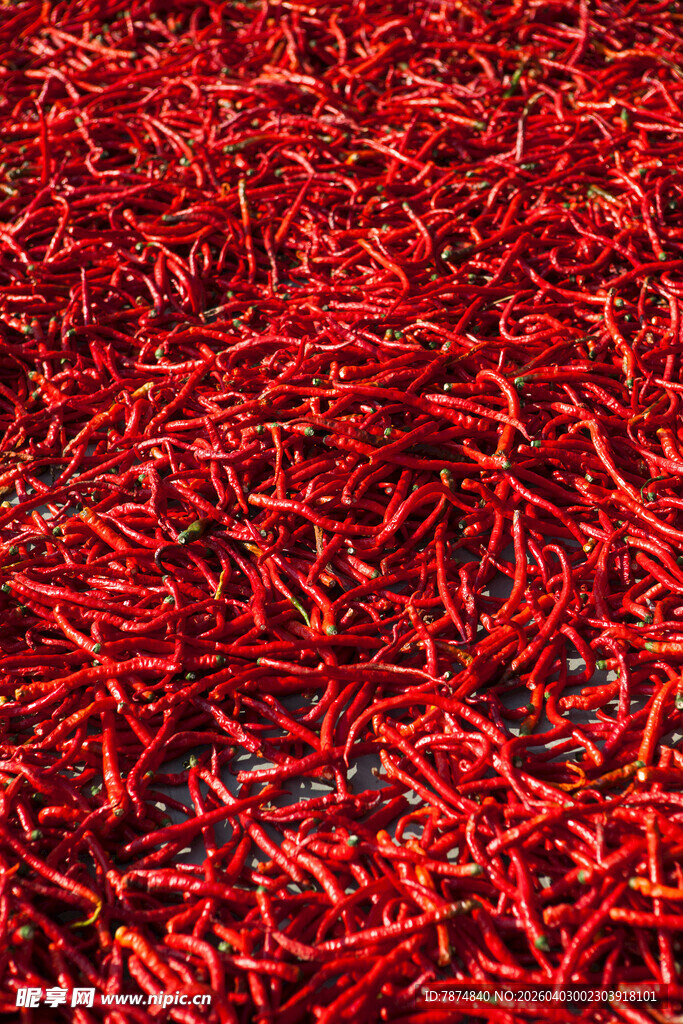 红辣椒特写