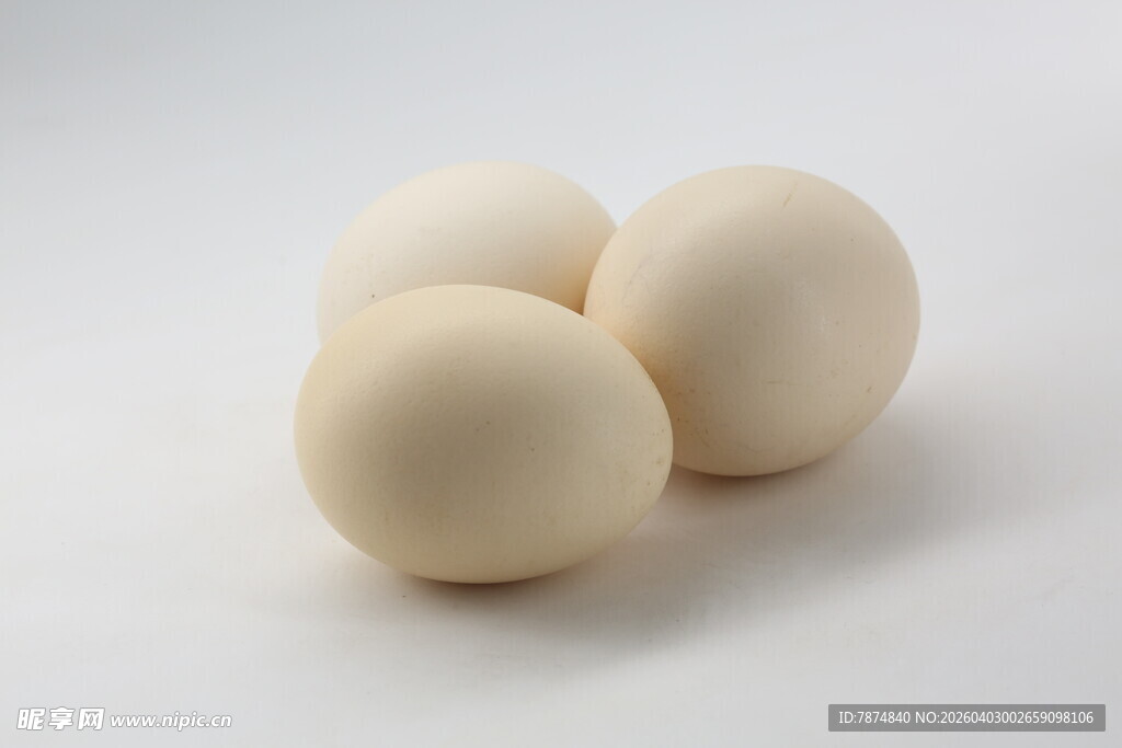三颗白色鸡蛋特写