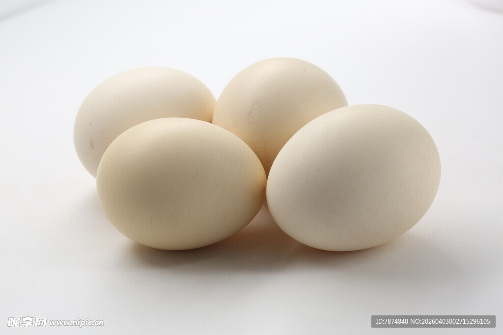 新鲜白鸡蛋堆叠展示