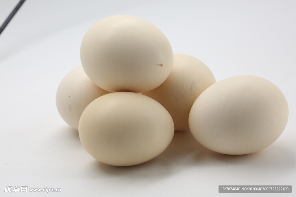 一堆鸡蛋