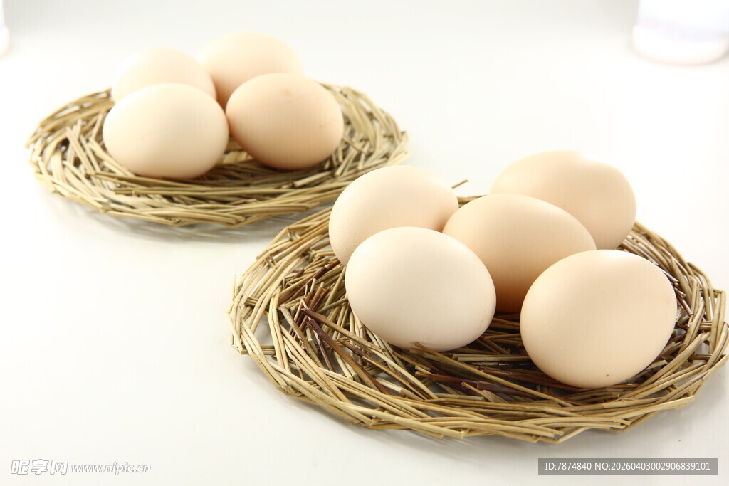 鸟巢中的新鲜白鸡蛋