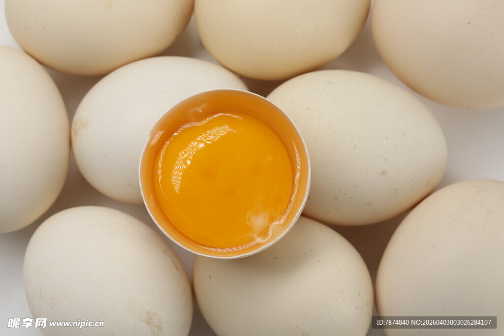 新鲜鸡蛋中的蛋黄特写