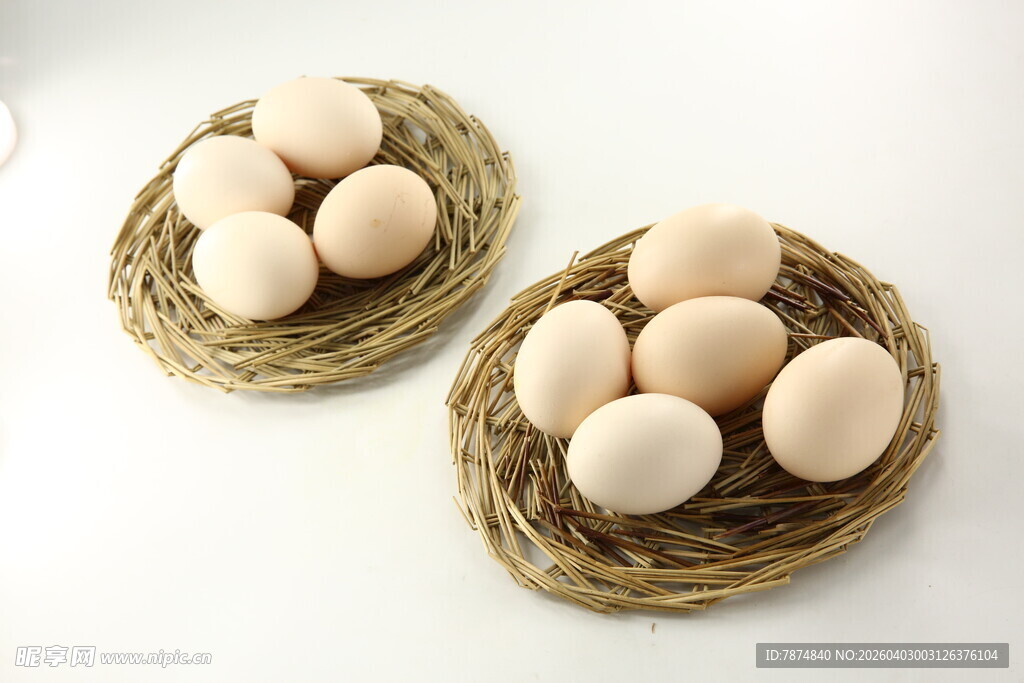 两窝鸡蛋置于编织巢中