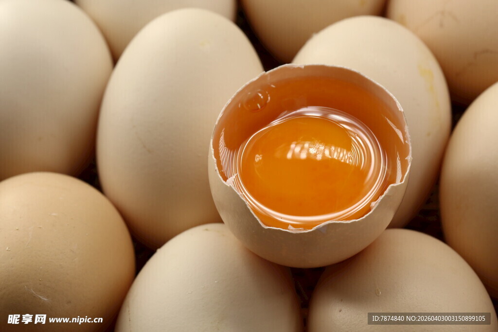 破壳鸡蛋与整颗鸡蛋