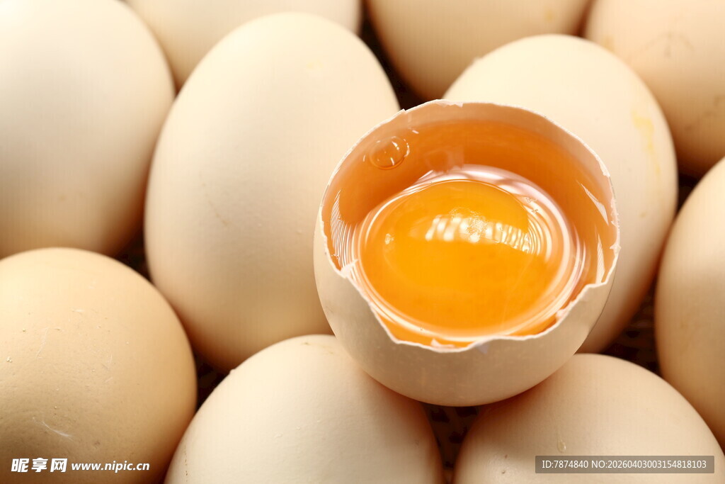 破壳鸡蛋展现生命瞬间