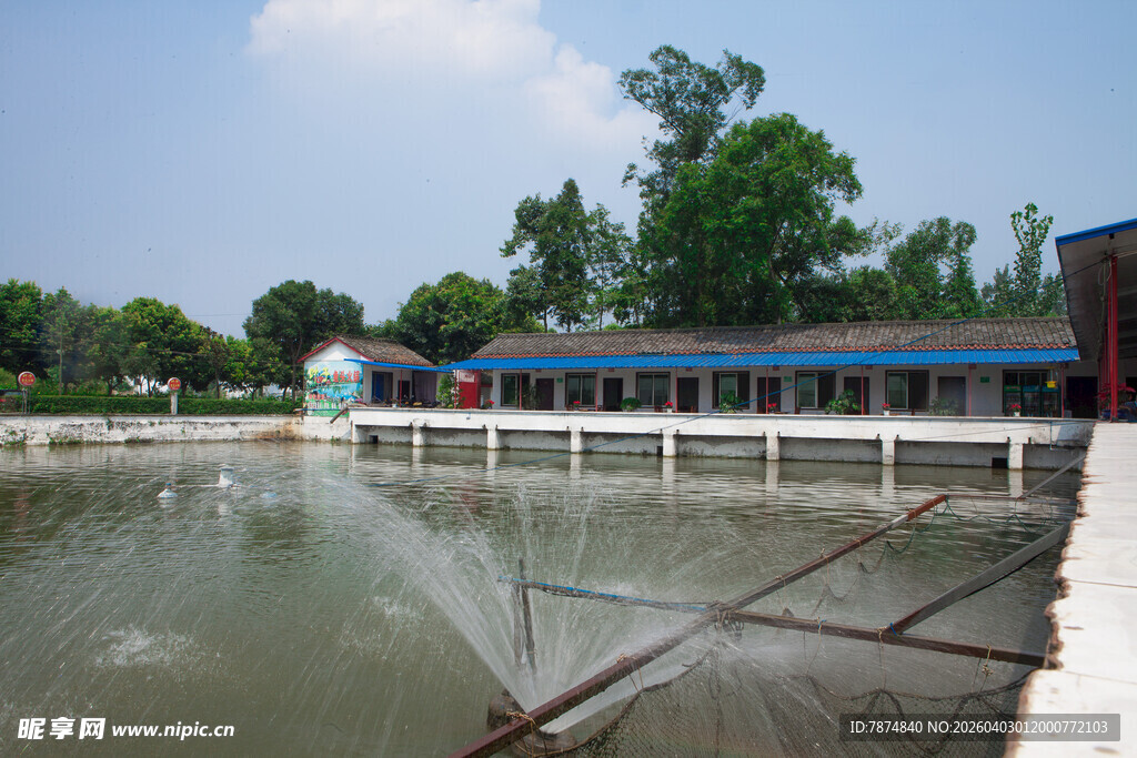 乡村鱼塘场景