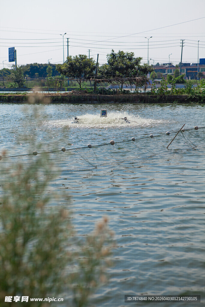 河畔水波荡漾的自然景致
