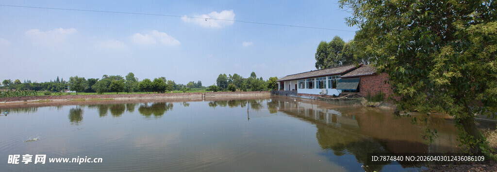 宁静乡村池塘美景