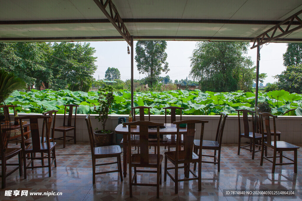 荷塘边的雅致户外用餐区