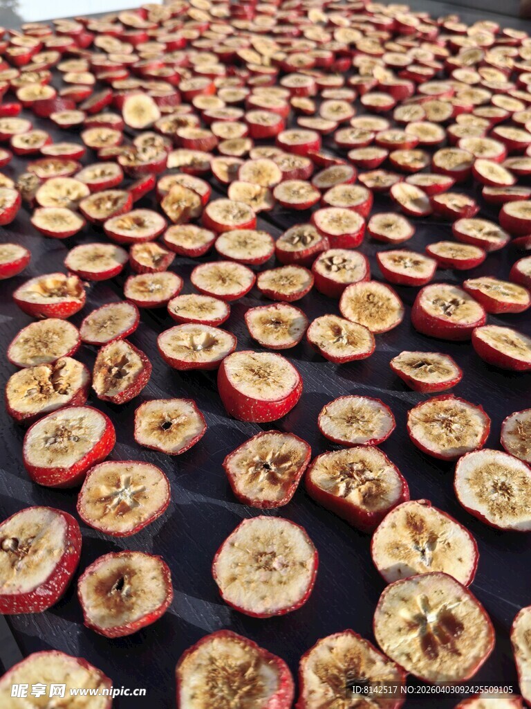 晾晒中的山楂切片